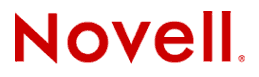 Netware Server Support